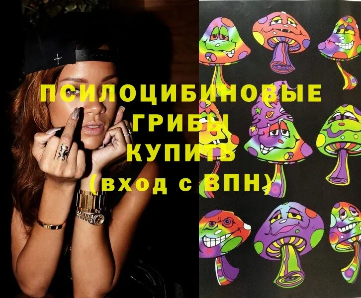 где можно купить   Ачинск  Псилоцибиновые грибы Magic Shrooms 